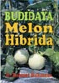 Budidaya Melon Hibrida