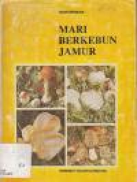 Mari Berkebun Jamur