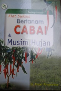 Kiat Sukses Bertanam Cabai Di Musim Hujan