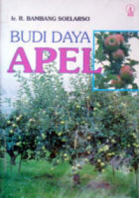 Budi Daya Apel