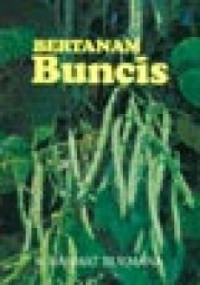 Bertanam Buncis