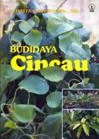 Budidaya Cingcau