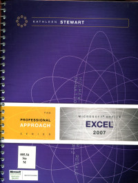 MICROSOFT OFFICE EXCEL: A PROFESSIONAL APPROACH