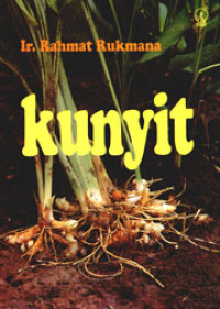 Kunyit