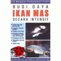 Budidaya Ikan Mas Secara Intensif