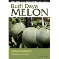 Budi Daya MELON