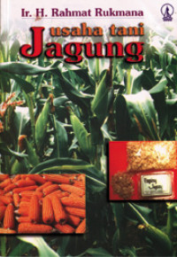 Usaha Tani Jagung