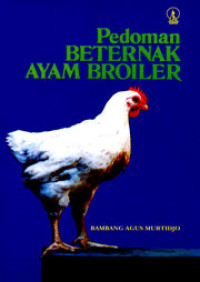 Pedoman Beternak Ayam Broiler