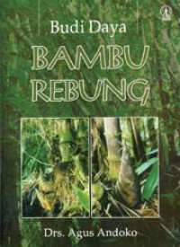 Budidaya Bambu Rebung