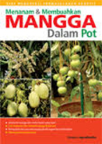 Menanam & membuahkan Mangga dalam Pot