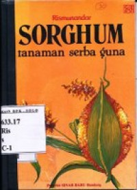 SORGHUM : Tanaman Serba Guna