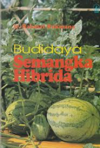 Budidaya Semangka Hibrida