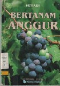 Bertanam Anggur