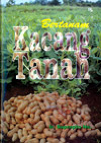 Bertanam Kacang Tanah