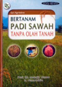 Bertanam Padi Sawah Tanpa Olah Tanah